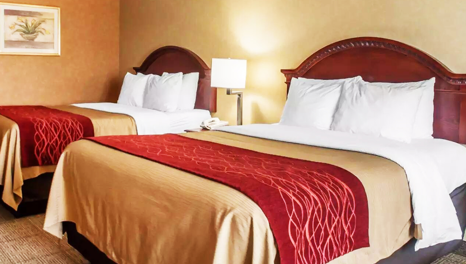 Cheektowaga NY Hotel Hotels near Walden Galleria Mall in Buffalo